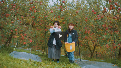 インタビュームービー